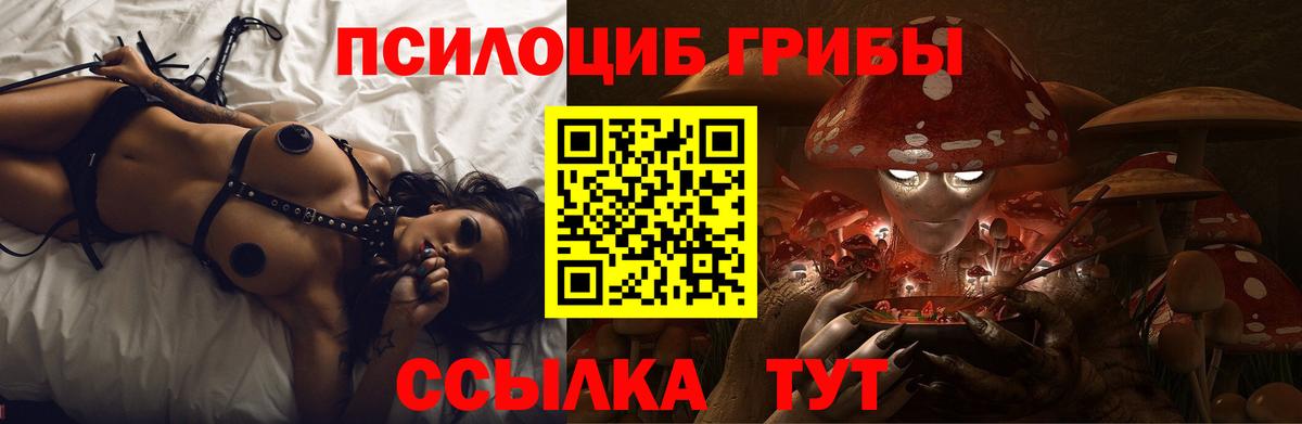Галлюциногенные грибы прущие грибы Балтийск