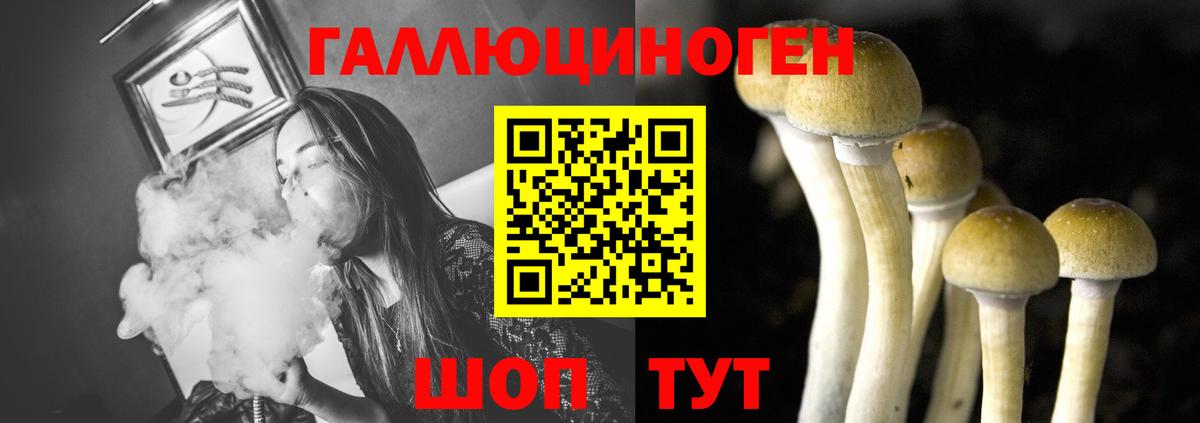 Галлюциногенные грибы Magic Shrooms  где найти   Вход с VPN  Балтийск  Галлюциногенные грибы Cubensis 