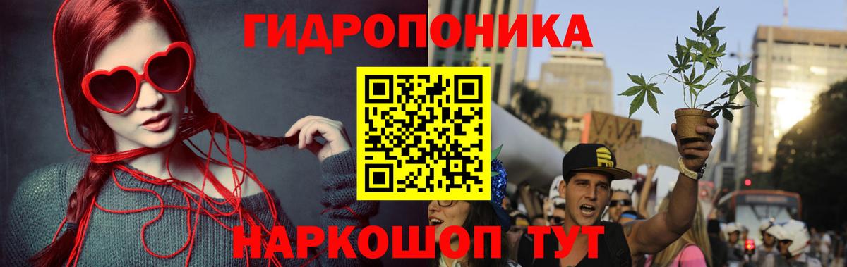 Бошки Шишки VHQ Балтийск
